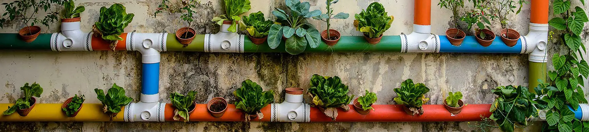 Urban Gardening mit greenhope